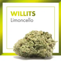 Willist Limoncelo Cannactiva