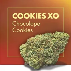 Cookies XO Chocolope Cookies CBD Cannactiva