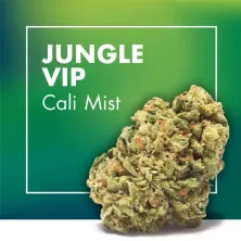 Jungle Vip Cali CBD Cannactiva