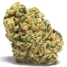 Jungle Vip Cali CBD Cannactiva cogollo