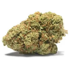 Lowrider Gelato Sundae CBD Cannactiva cogollo