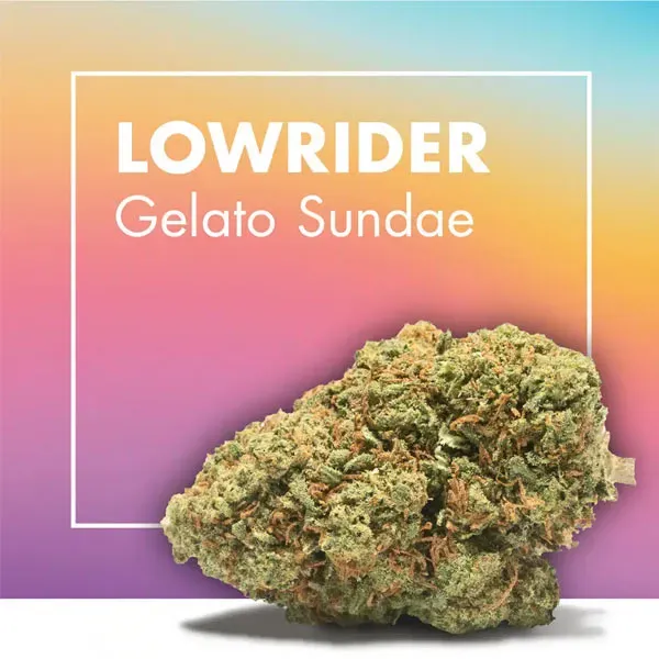 Lowrider Gelato Sundae CBD Cannactiva