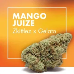 Flor CBD (Greenhouse) Mango Juice Zkittlez x Gelato Cannactiva