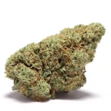 Mango Juice Zkittlez x Gelato CBD Cannactiva cogollo