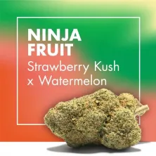 Ninja Fruit Strawberry Kush x Watermelon CBD Cannactiva