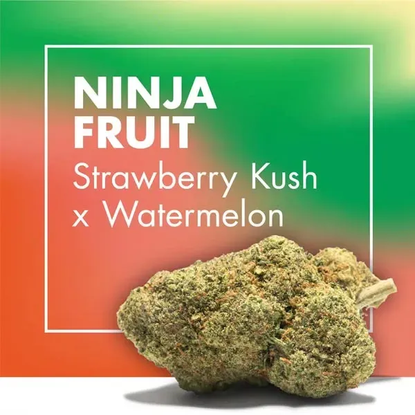 Ninja Fruit Strawberry Kush x Watermelon CBD Cannactiva