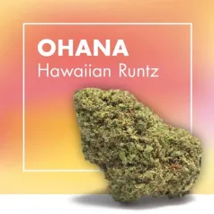 Ohana Hawaiian Runtz CBD Cannactiva