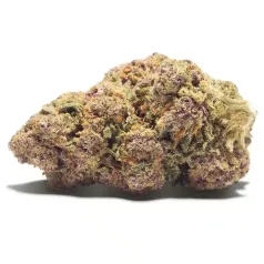 Purple Buddha Purple Haze CBD Cannactiva cogollo grande y de calidad