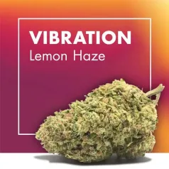 Vibration Lemon Haze CBD Cannactiva