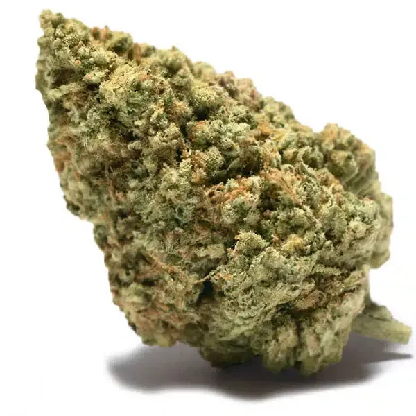 Funky Monkey Gorilla Glue CBD Cannactiva cogollo resionoso