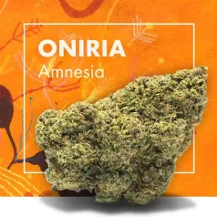 Oniria Amnesia CBD Cannactiva portada