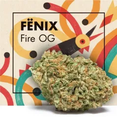 Fenix Fire OG CBD Cannactiva portada