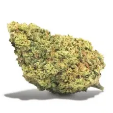 Flora MImosa Haze CBD Cannactiva flor