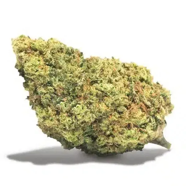 Flora MImosa Haze CBD Cannactiva flor