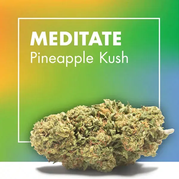 Meditate Pineapple Kush CBD Cannactiva portada