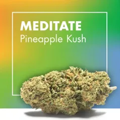 Meditate Pineapple Kush CBD Cannactiva portada