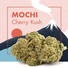 Mochi Cherry Kush CBD Cannactiva portada