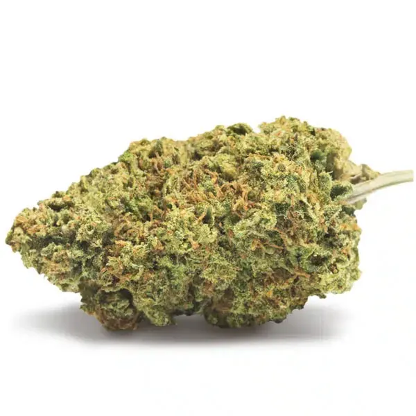 Tepache Pineapple Wine CBD Cannactiva flor