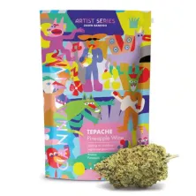 Tepache Pineapple Wine CBD Cannactiva packaging