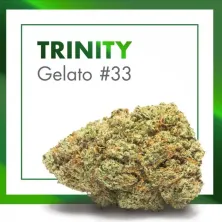 Flor CBD Trinity Gelato 33 Cannactiva