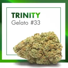 Flor CBD Trinity Gelato 33 Cannactiva