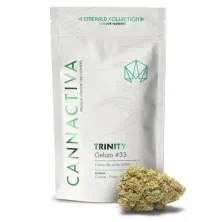 Flor CBD Trinity Gelato 33 Cannactiva
