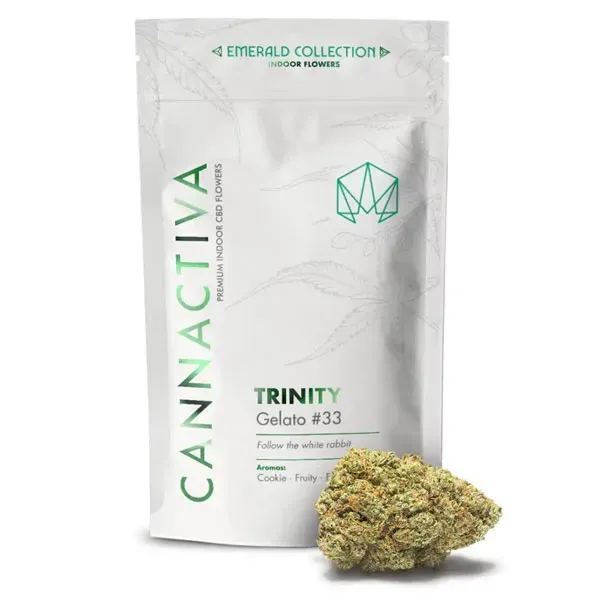 Flor CBD Trinity Gelato 33 Cannactiva