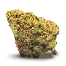 MAPLE  Jack Herer CBD Cannactiva flor