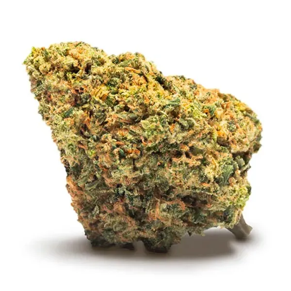 MAPLE  Jack Herer CBD Cannactiva flor