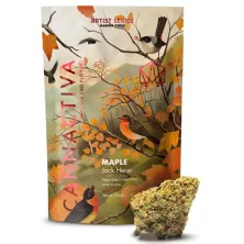 MAPLE  Jack Herer CBD Cannactiva Packaging