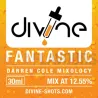 Fantastic 30 ml Divine Shots