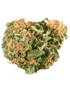 Flores CBD legales | Interior y exterior de alta calidad