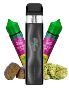 Packs CBD | Ahorra con combinaciones de líquidos, aromas y flores