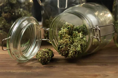 Cómo conservar flores y resinas de CBD sin perder aroma