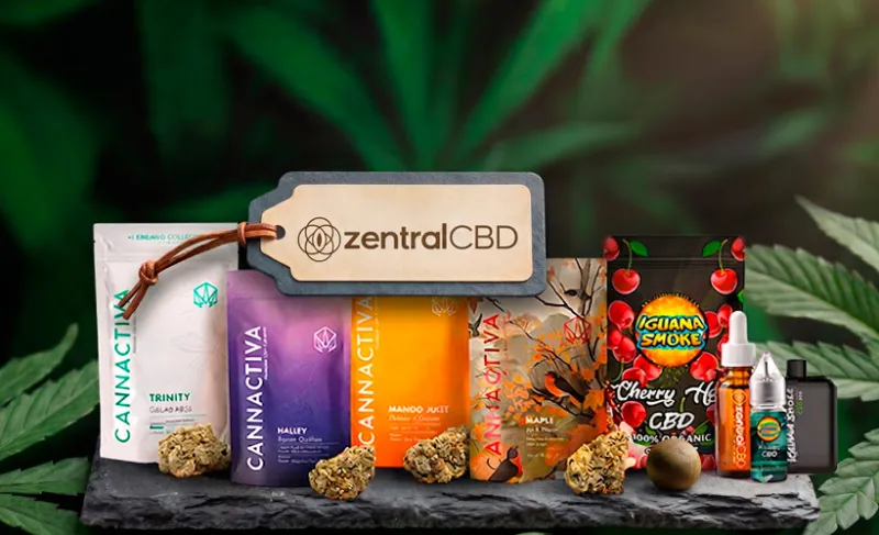 Lanzamos ZentralCBD: nueva web especializada en CBD