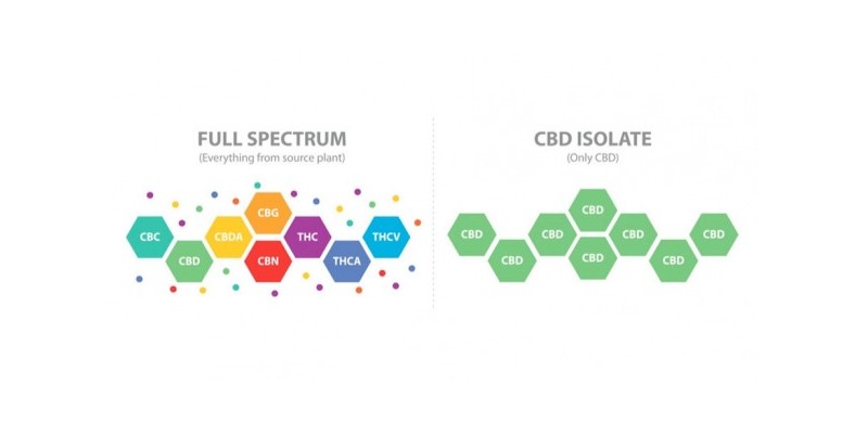 CBD espectro completo. Todo lo que necesitas saber