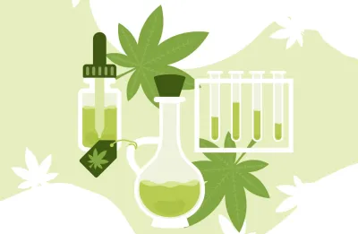 El efecto séquito en el cannabis. Descubre el poder de la sinergia