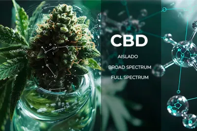 CBD aislado, broad y full spectrum: qué significan y en qué se diferencian